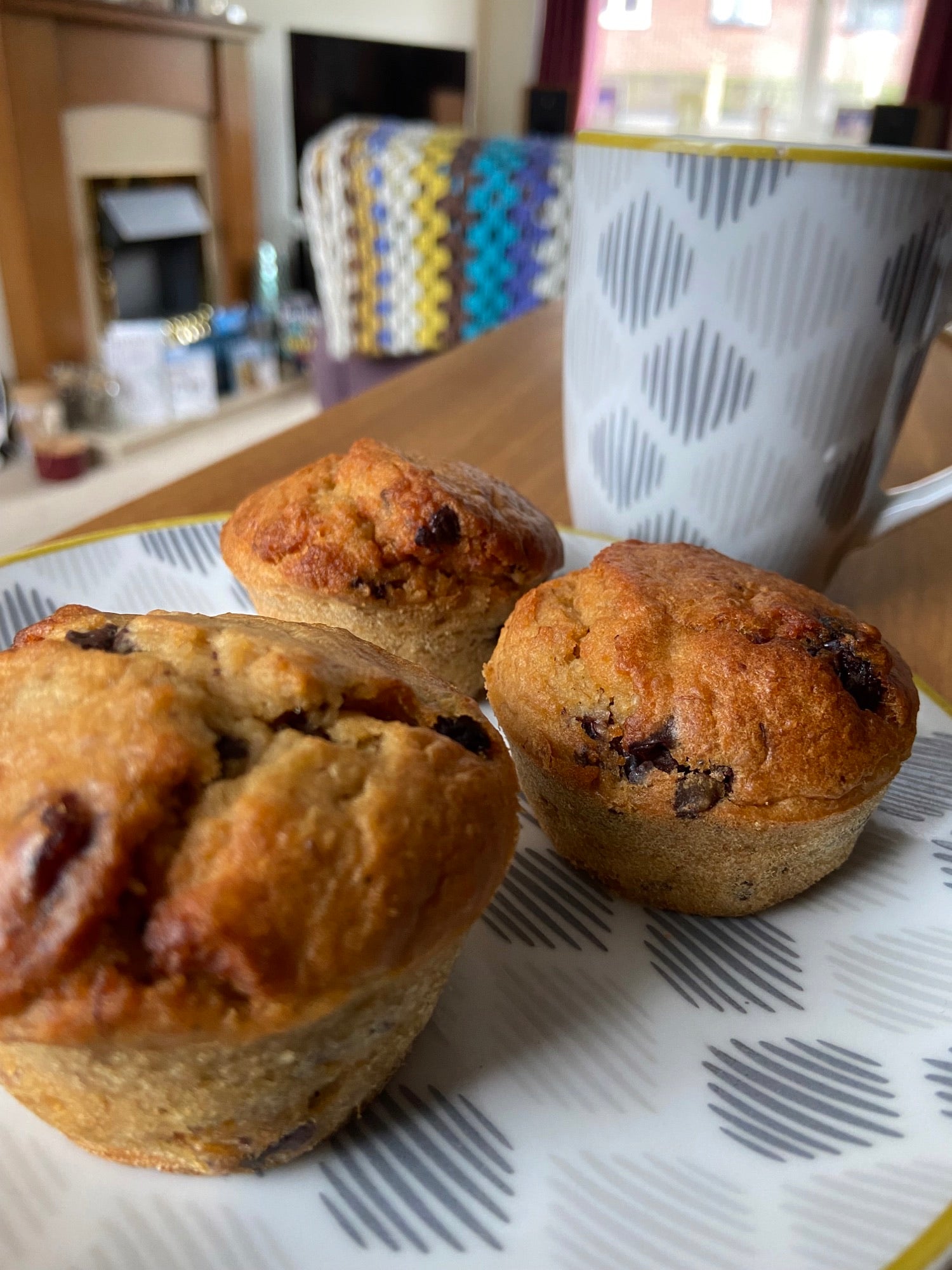 Chocolate & Cranberry Breakfast Muffins - Diane Peternel – 80Noir Ultra