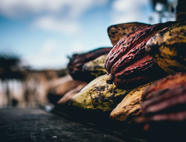5 Intriguing Flavours that go with Chocolate