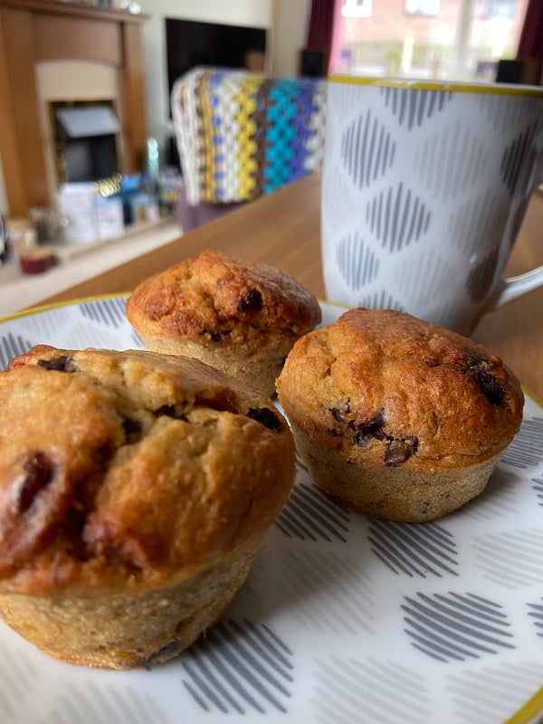 Chocolate & Cranberry Breakfast Muffins - Diane Peternel