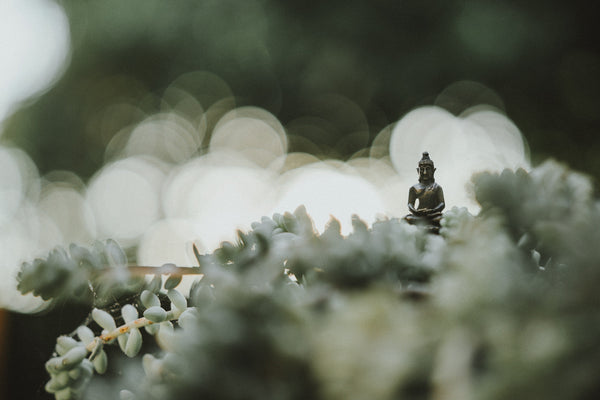 Mindfulness in 5 Minutes