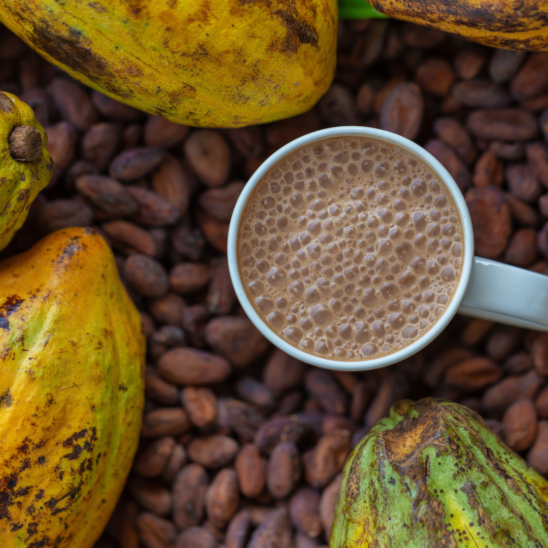Cacao heritage and origins