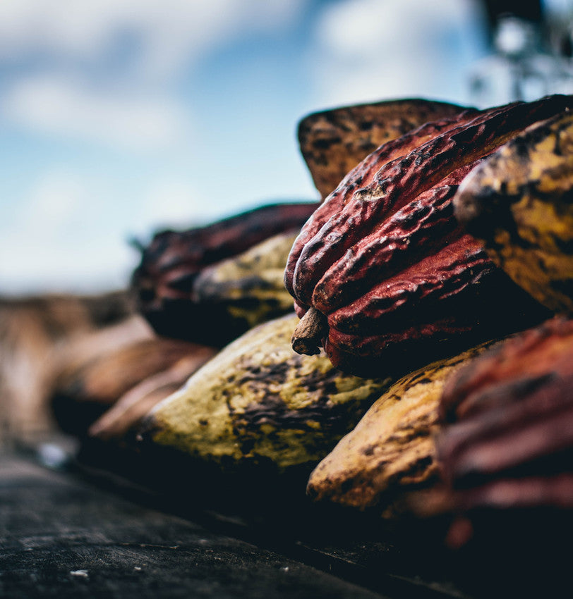 Cacao origin and terroir